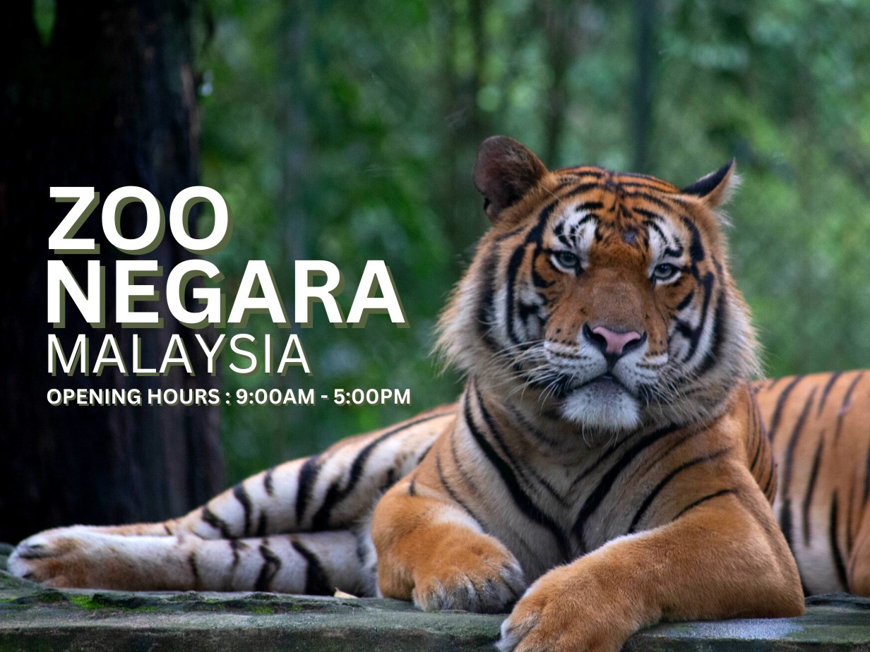 zoo negara birthday free ticket 2025